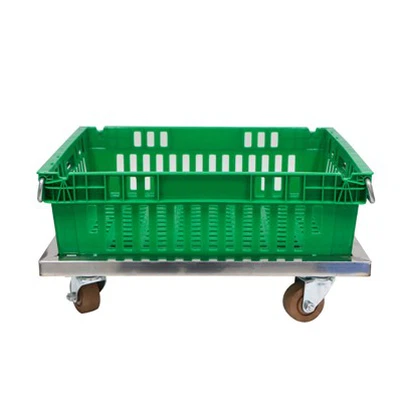 24 X 20 X 7″ Chillpac Plaisteacha le Bannaí