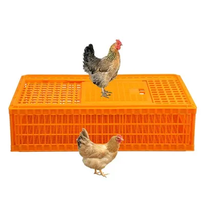 Bosca Iompair Sicín Plaisteacha 98cm