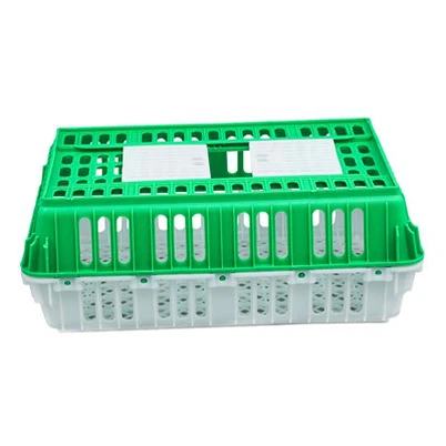 Cliabh Plaisteacha Éan Beo