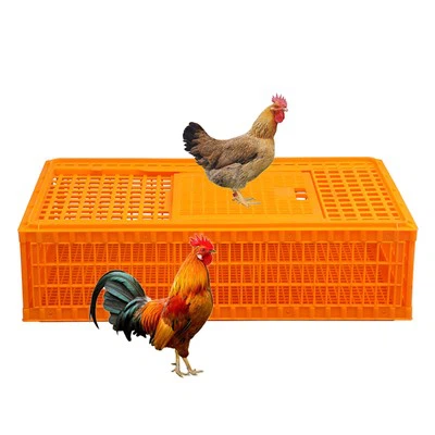 Bosca Láimhdeachais Cage Sicín Plaisteacha